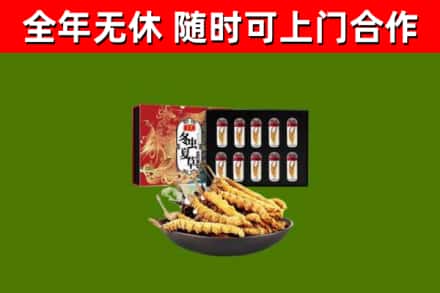 兴县回收冬虫夏草价格